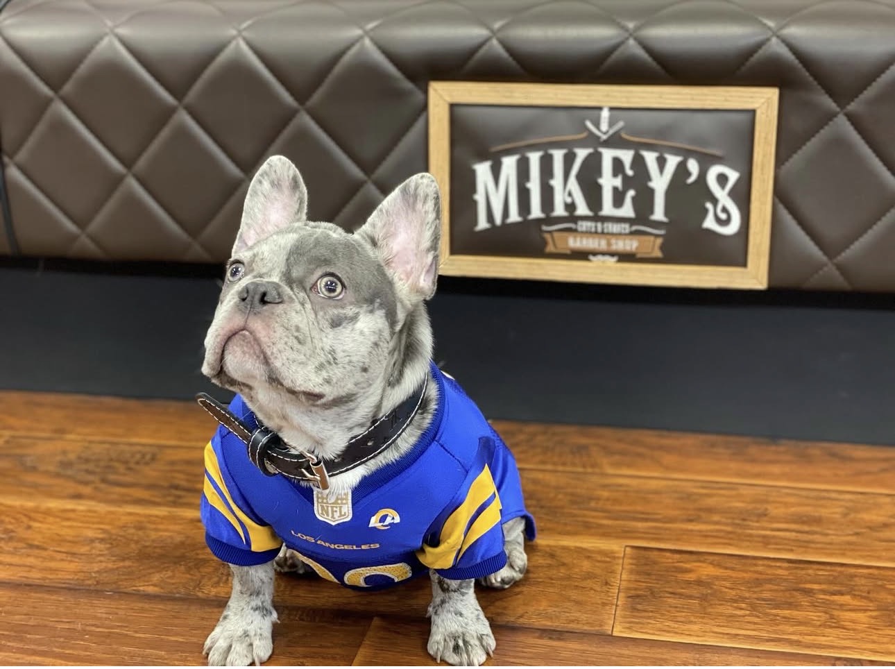 Shop Mascot